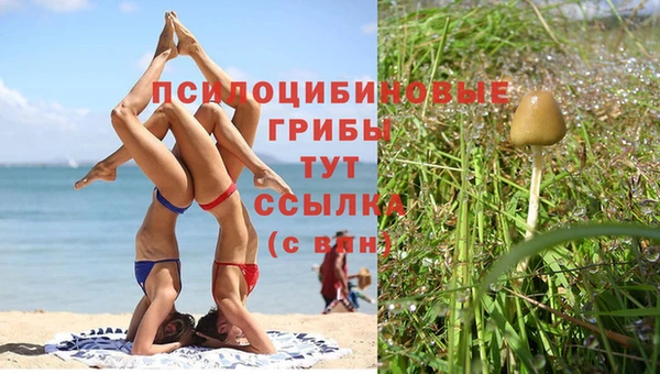 ешки Дмитров