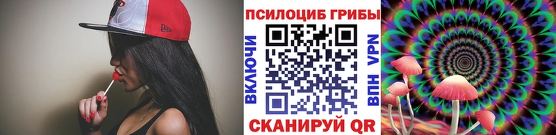 Псилоцибиновые грибы мицелий  Западная Двина 